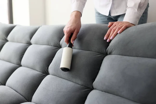 Upholstery Cleaning Service