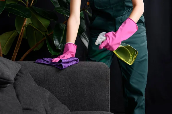 Pet Stain & Odor Removal Service
